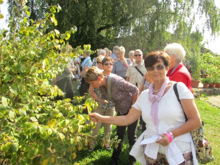 Jahesausflug 2016 Schwäbisch-Gmuend - Weleda