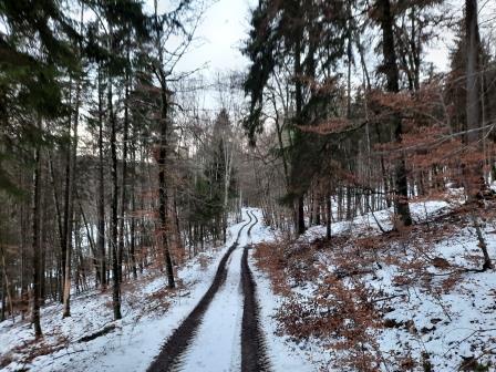 Winterwanderung (1)