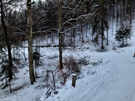 Winterwanderung (2)