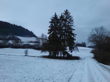 Winterwanderung (8)